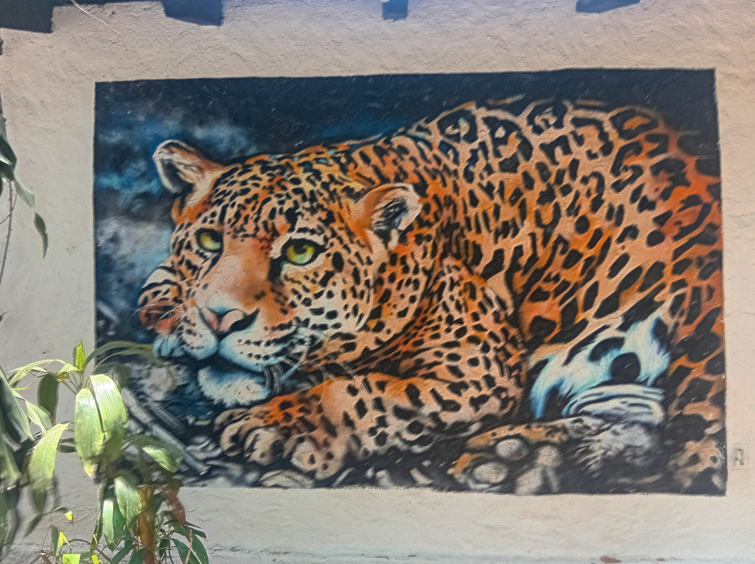 Isla Cuale-瓦拉塔港必去景点