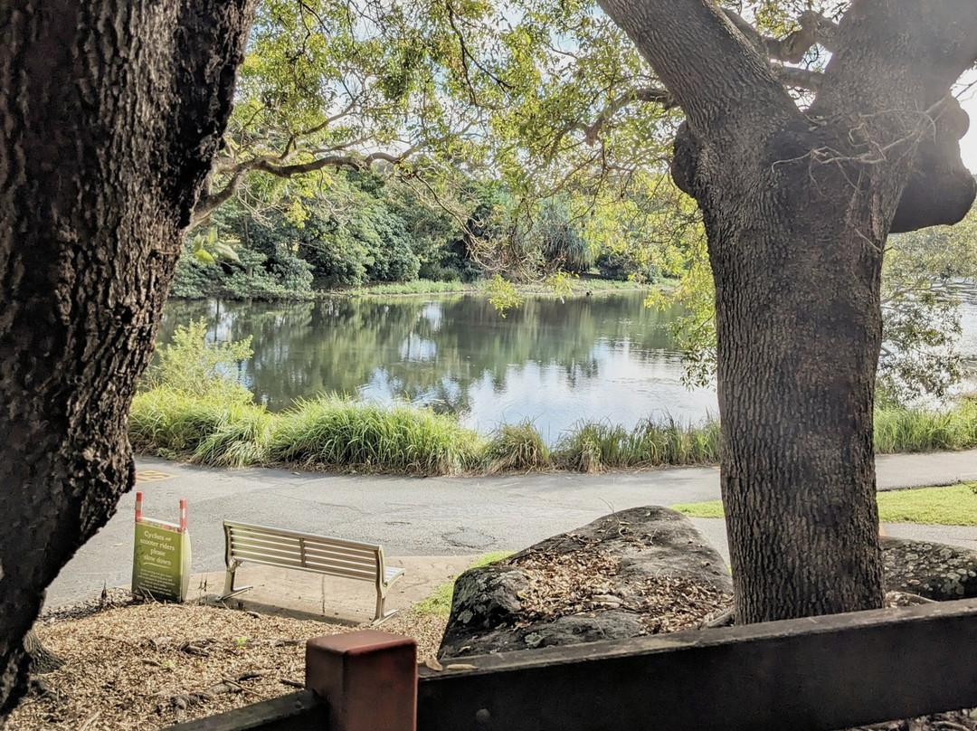 Mackay Regional Botanic Gardens景点图片