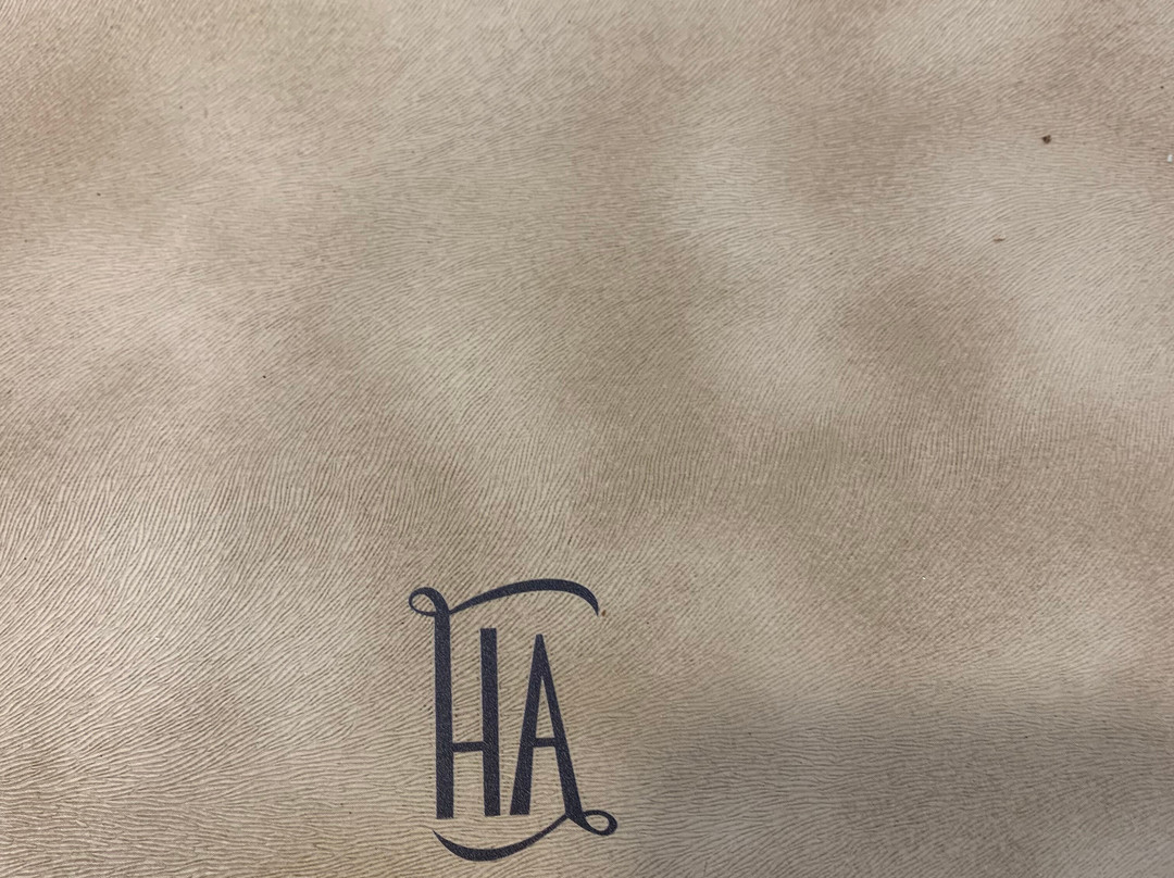 Hotel Ambasciatori主图