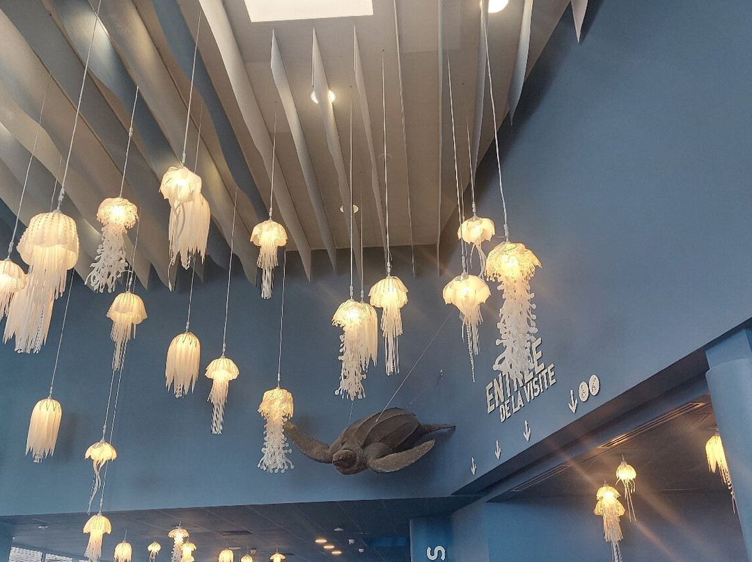 Aquarium La Rochelle景点图片
