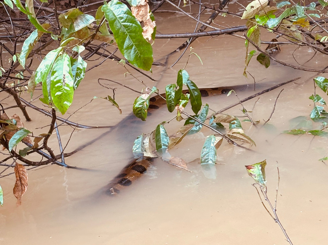Henry Eco Tours-Coca必去景点