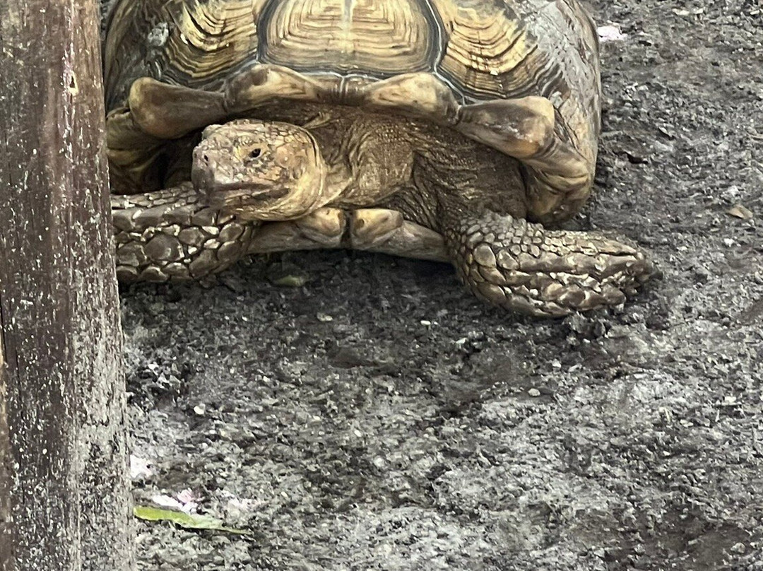 The Wonder Gardens-博尼塔斯普林斯必去景点