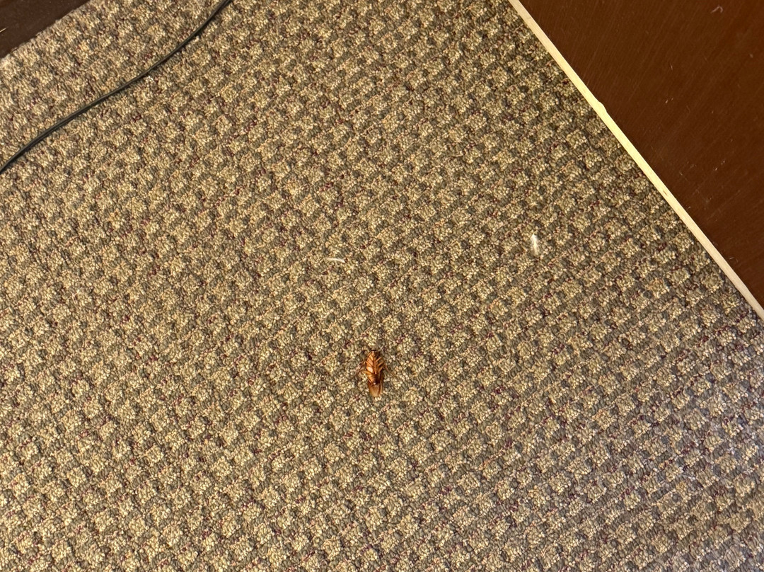 Fiesta Americana Hermosillo主图