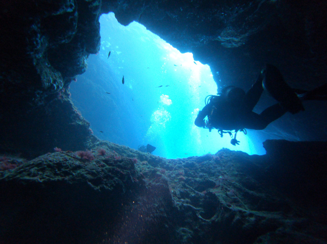 Capo Galera Diving Center-阿尔盖罗必去景点
