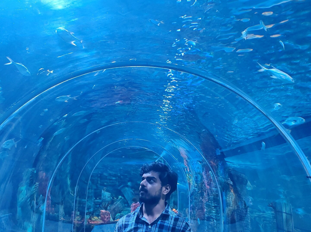Aquarium Paradise景点图片