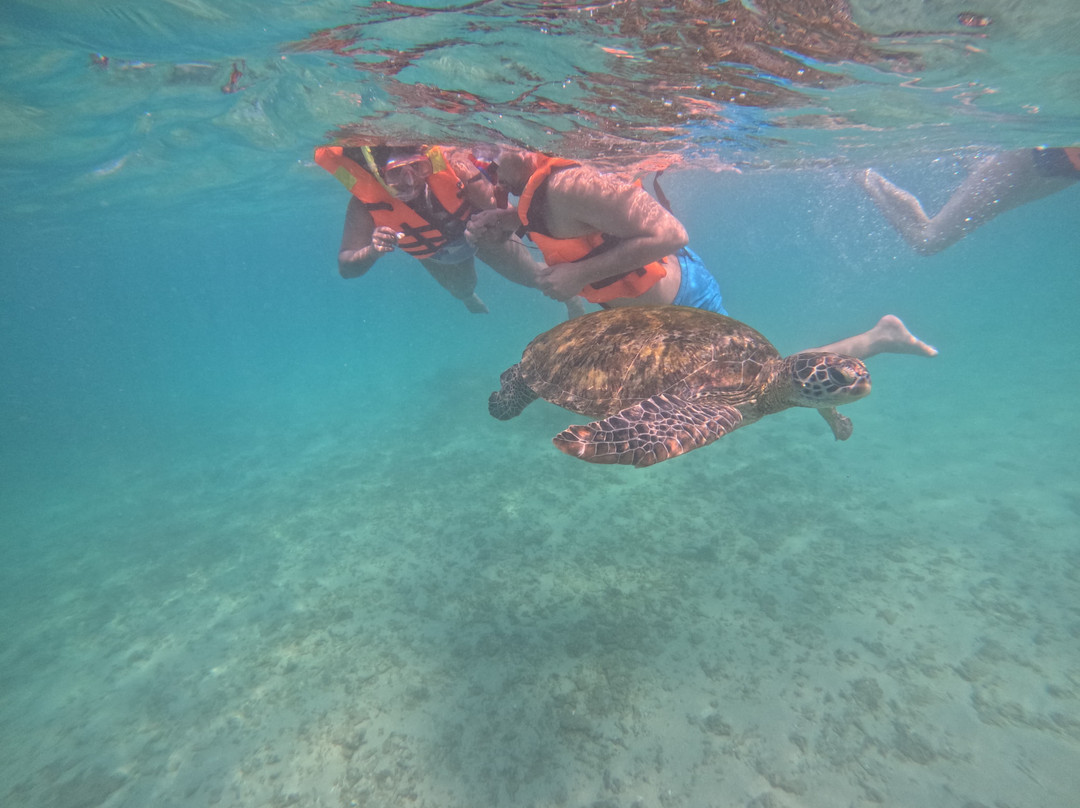 Mirissa Snorkling & Fishing Tours-美蕊沙必去景点