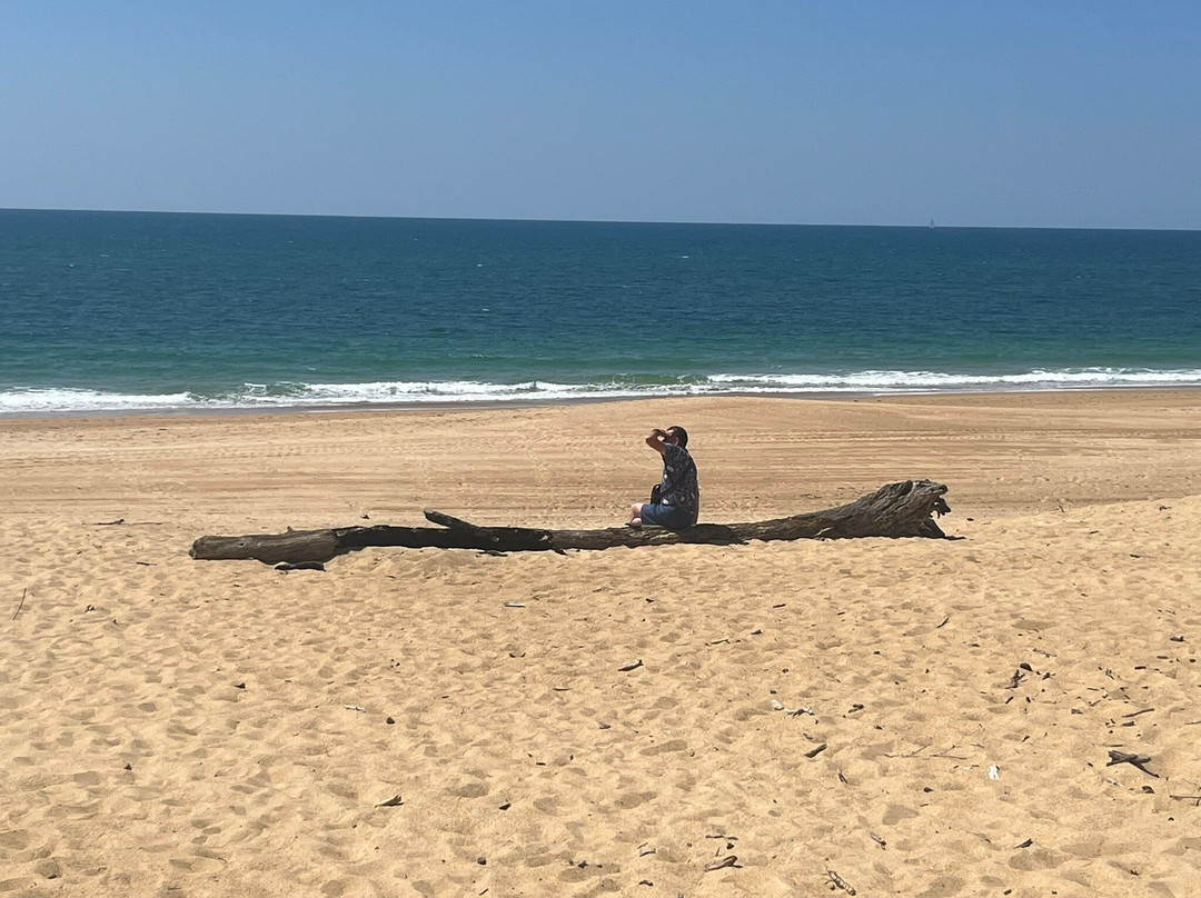Chapelle Sainte Thérèse-Labenne必去景点