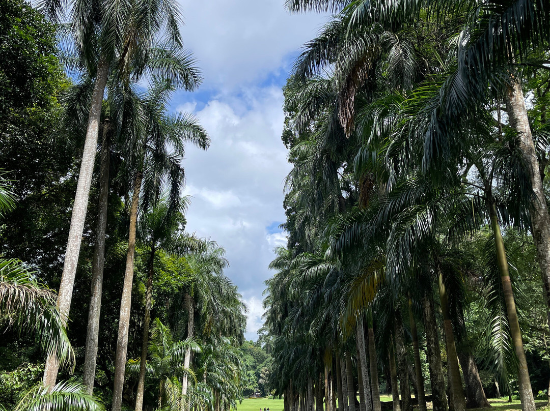 Private Tour Driver Sri Lanka-康提必去景点