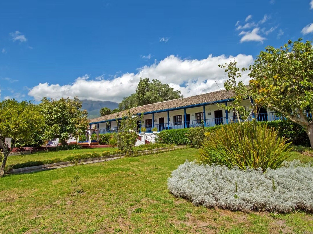 Latin Trails-基多必去景点