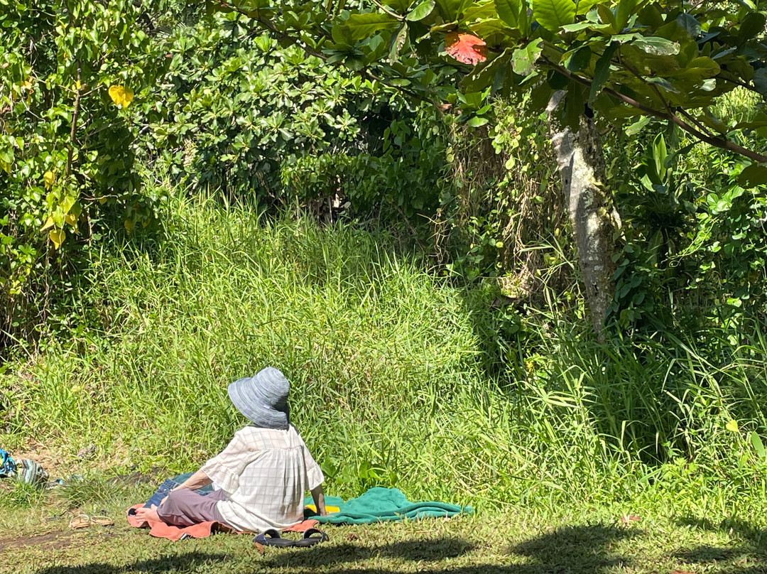 Carlsmith Beach Park-希洛必去景点