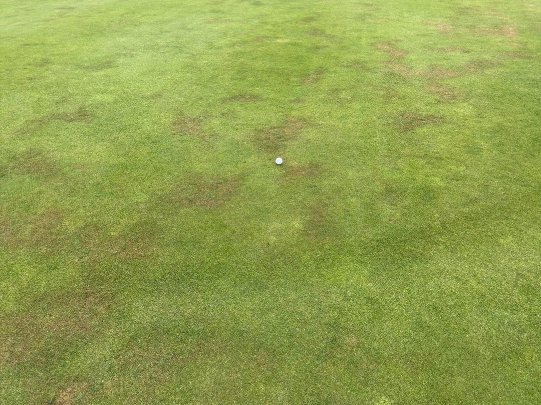 Eastbourne Downs Golf Course-伊斯特本必去景点