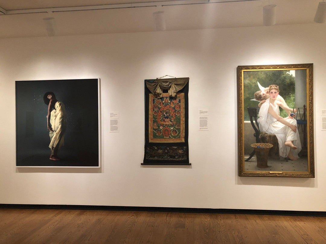 Mead Art Museum-艾姆赫斯特必去景点