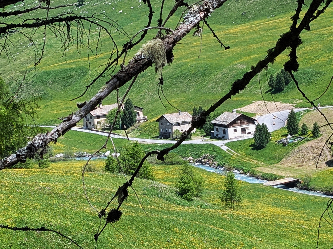 Val Fex-Sils im Engadin必去景点