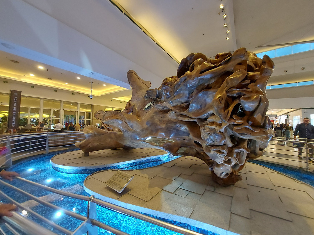 Parque Dom Pedro Shopping-坎皮纳斯必去景点