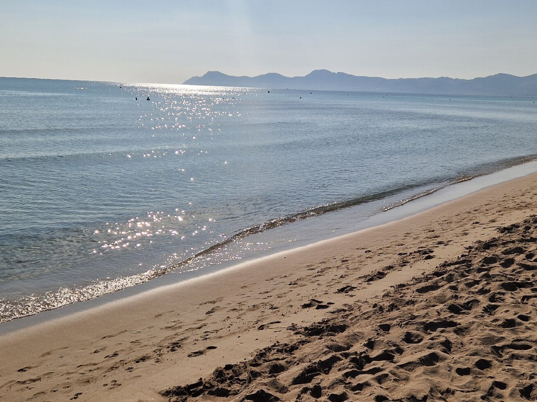 Playa Santa Ponça-圣庞沙必去景点