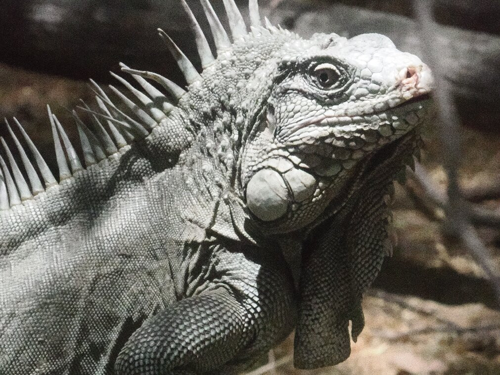 Washington-Slagbaai National Park Visitor Center Museum-Washington-Slagbaai National Park必去景点