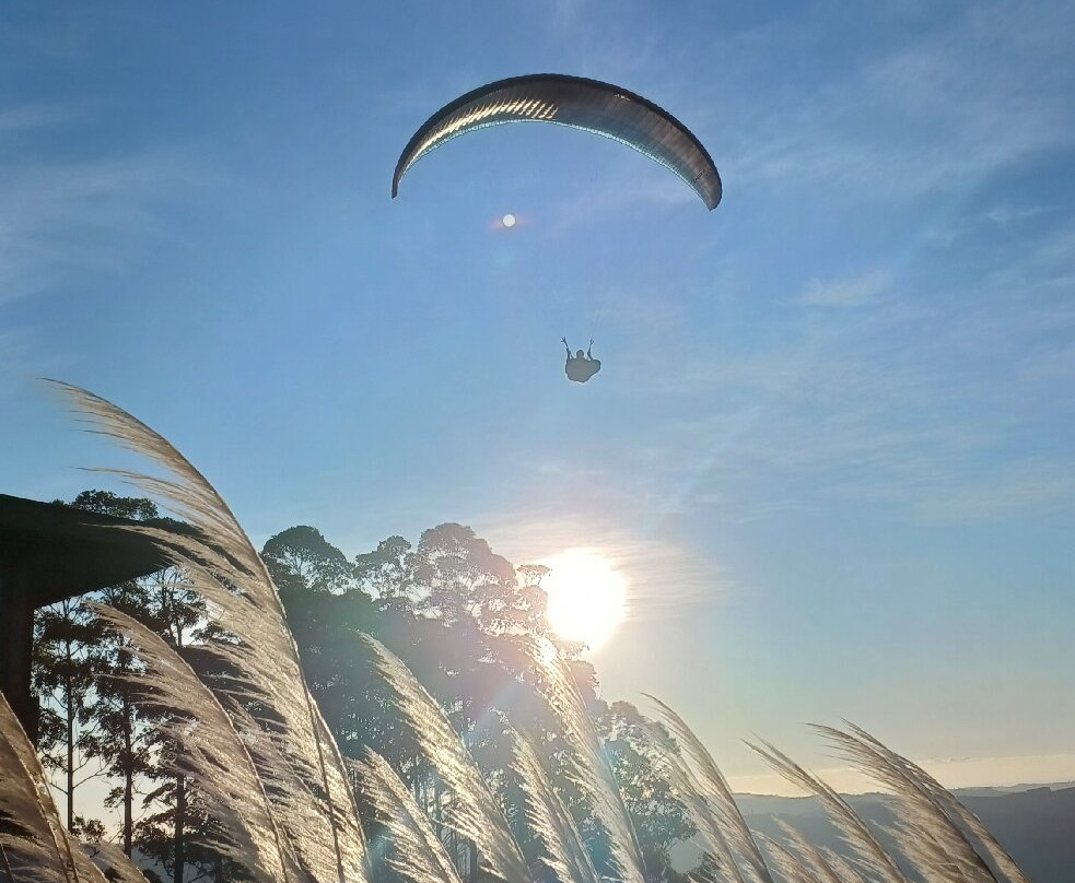 Mercado do Cristo-Pocos de Caldas必去景点