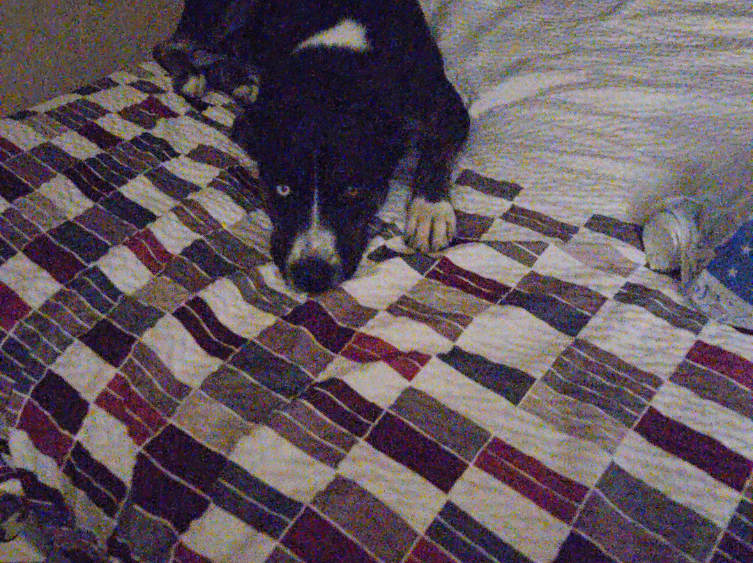 Red Roof Inn & Suites Macon主图