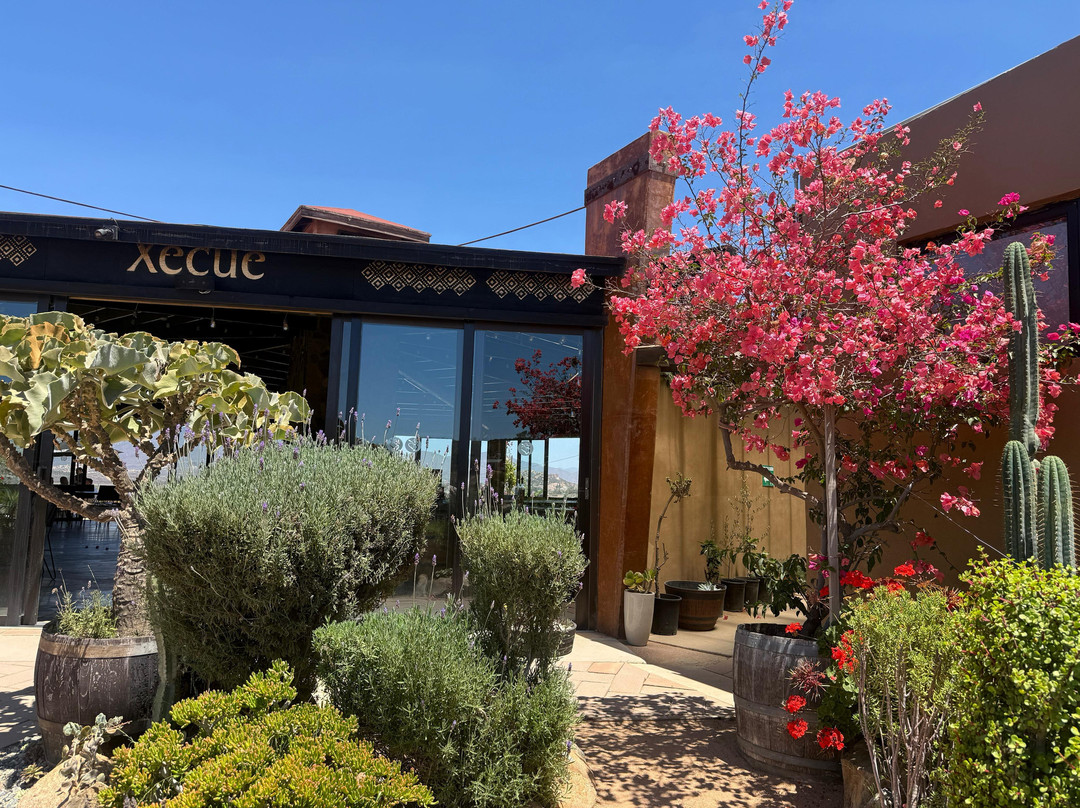 Xecue Vinicola-Valle de Guadalupe必去景点