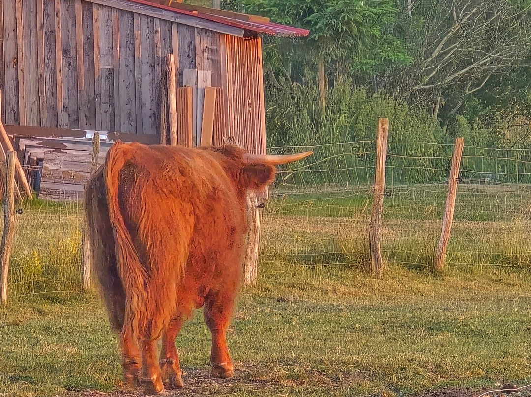Les Tables d'Highlands