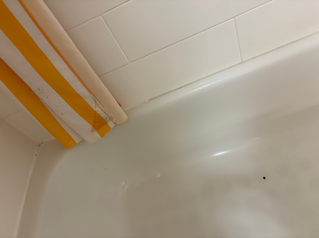 La Quinta Inn & Suites by Wyndham Lubbock North主图