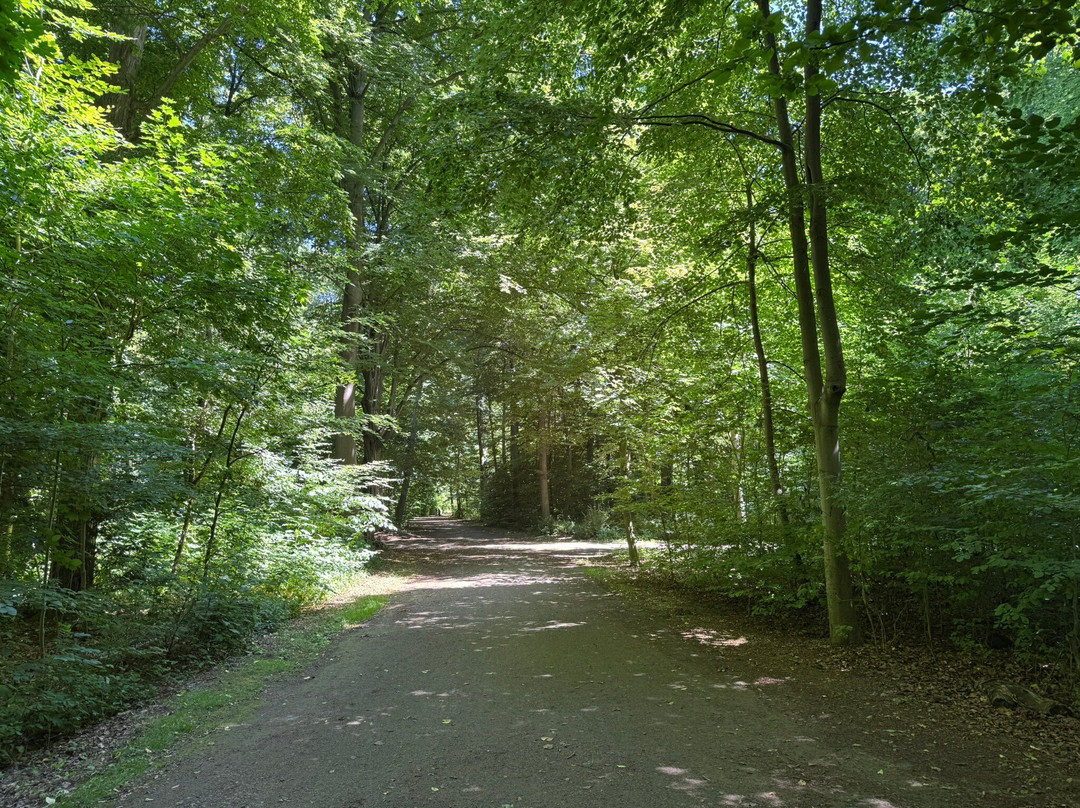 Eilenriede City Forest-汉诺威必去景点