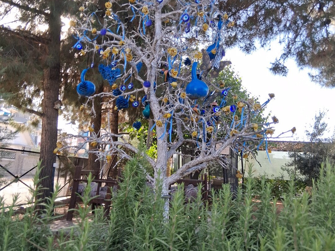 Bahcamatiate Midyat At Ciftligi Ve Mini Hayvanat Bahcesi-Midyat必去景点