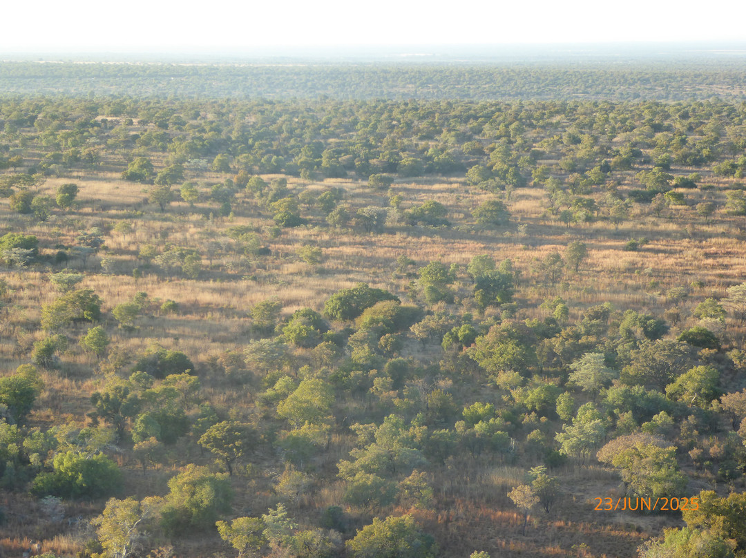 Bill Harrop's Original Balloon Safaris-Magaliesburg必去景点