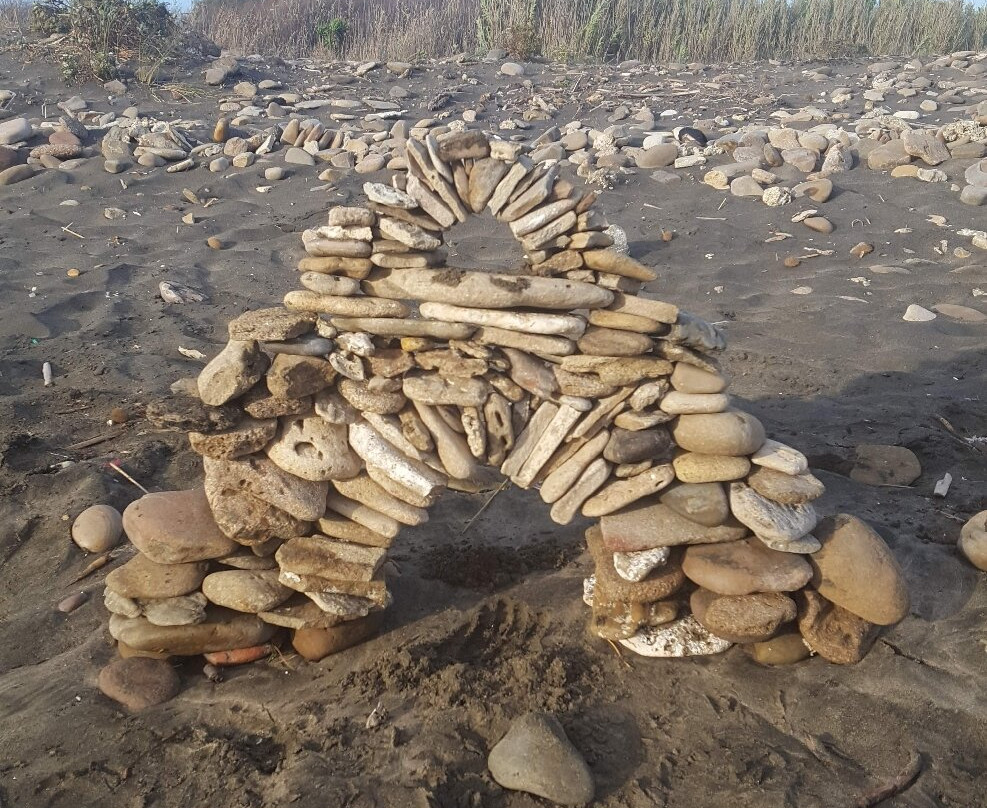 Monumento Naturale Palude di Torre Flavia-拉迪斯波利必去景点