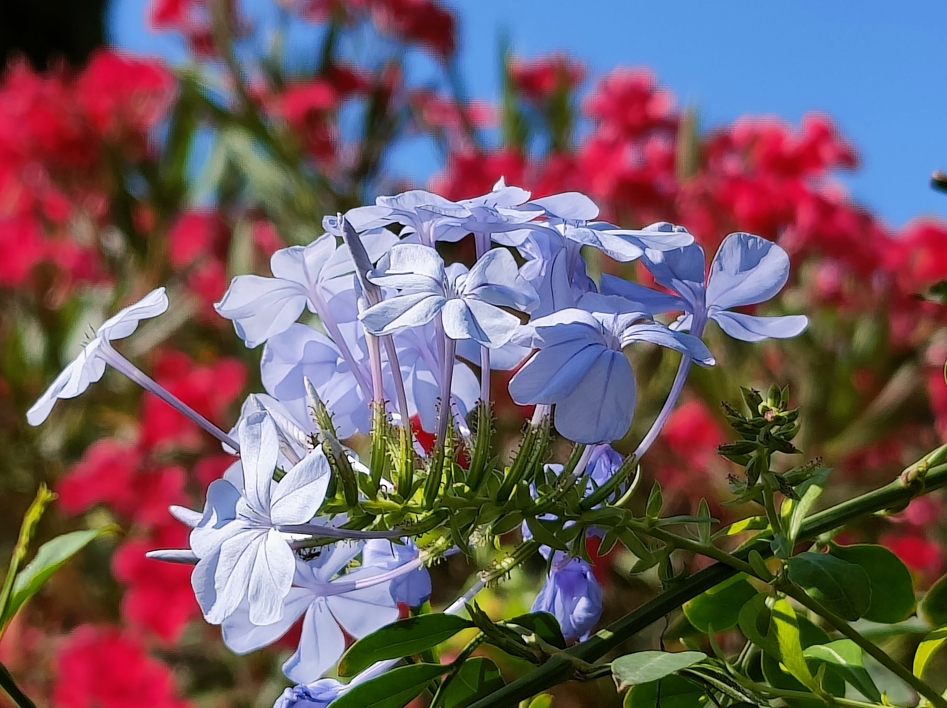 Bed & Breakfast Peu Del Causse-浴室