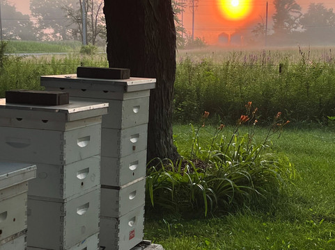 State Line Honey-安提必去景点