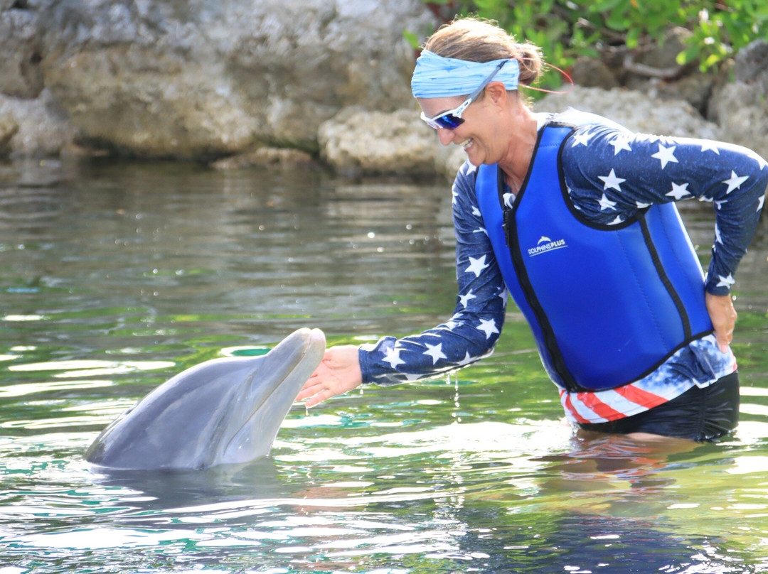 海豚商店-基拉戈-拉哥岛必去景点