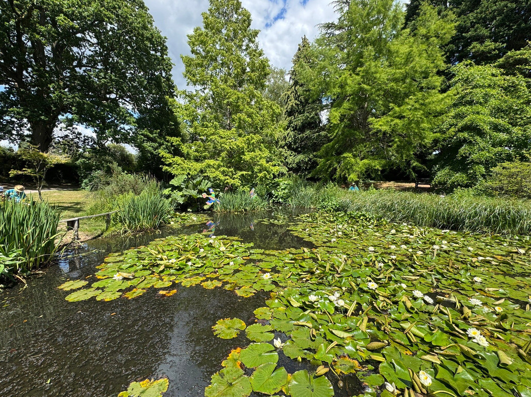 Furzey Gardens-Minstead必去景点