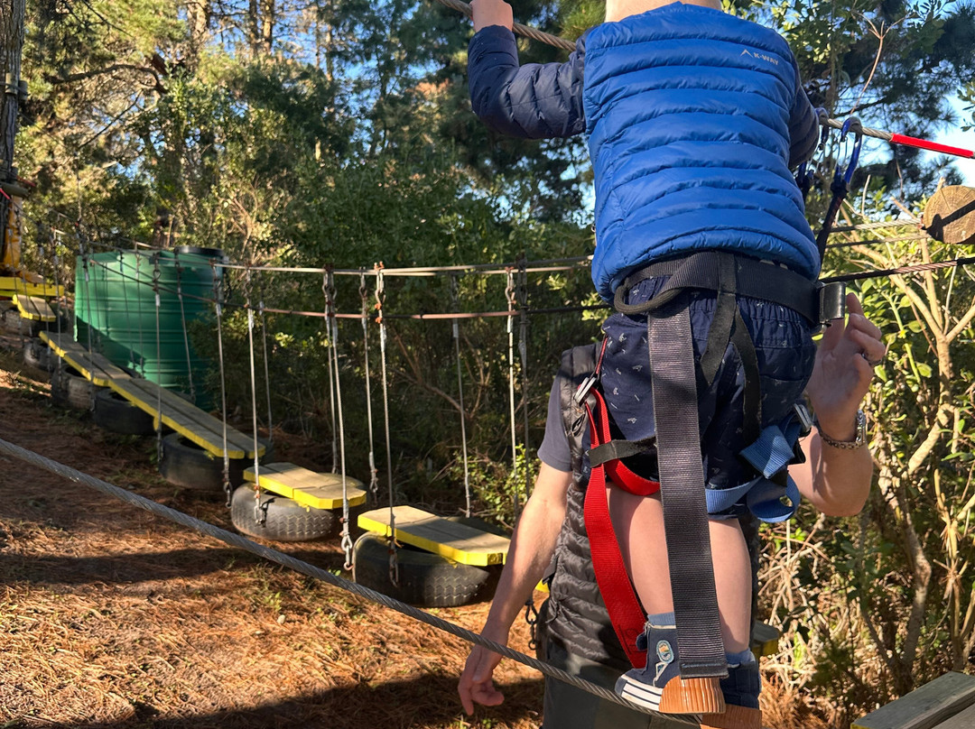 Acrobranch Garden Route-荒野必去景点