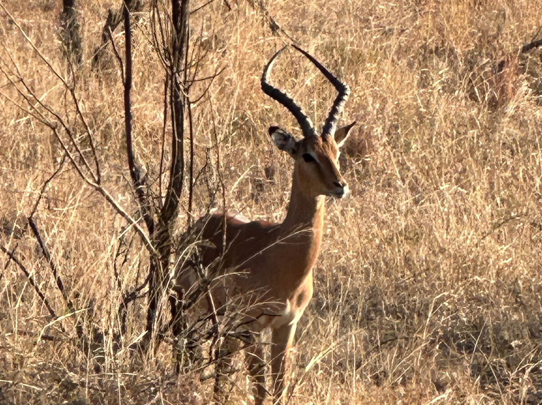 Buya Buya Travel & Tours-霍德斯普鲁特必去景点