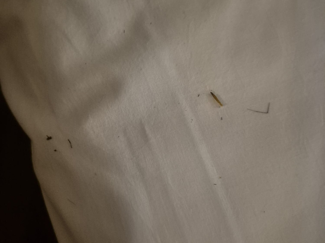 Travelodge Bedford Goldington Road主图