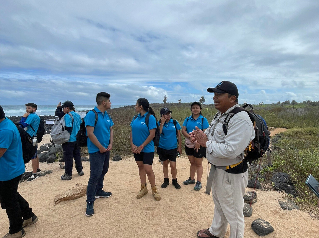 Playa de los Perros-阿约拉港必去景点