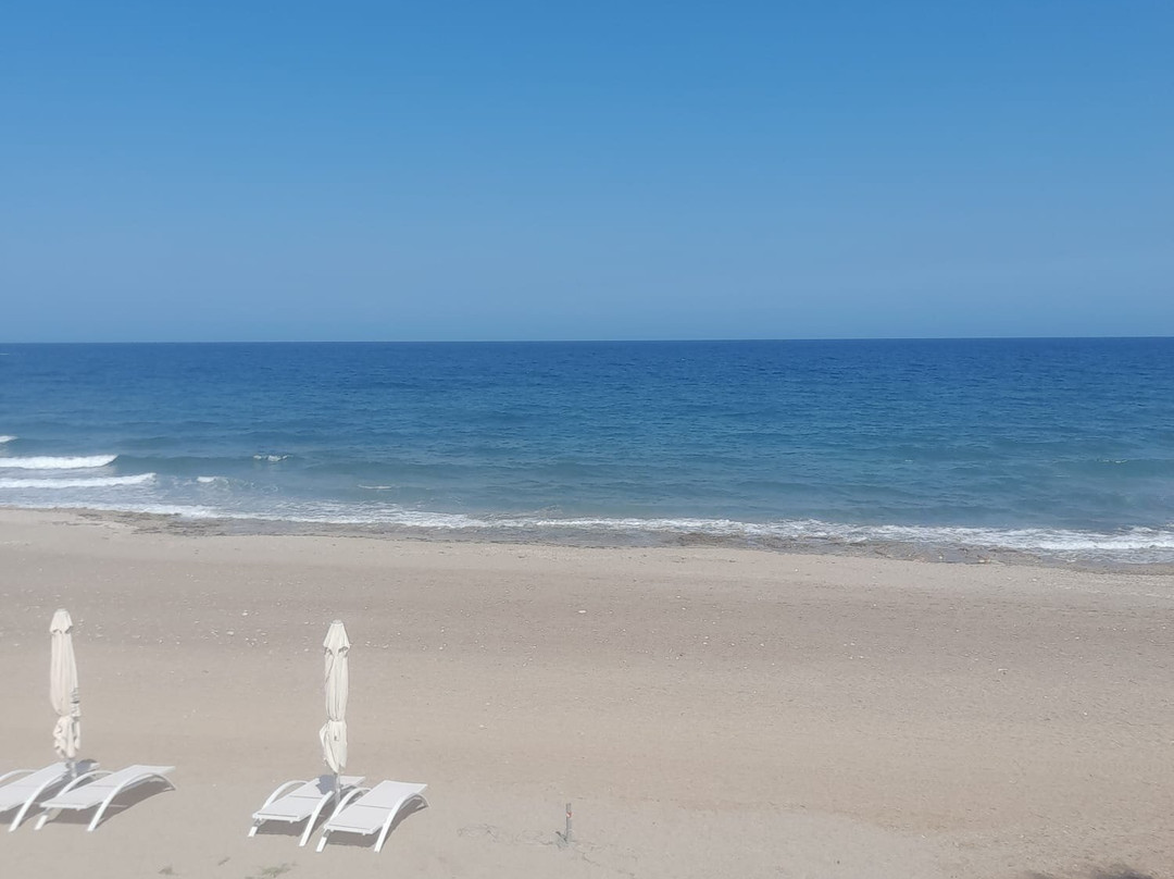 Continental Hotel Almeria主图