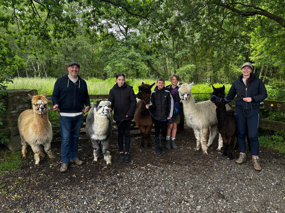 White Peak Alpaca Farm-Mobberley必去景点