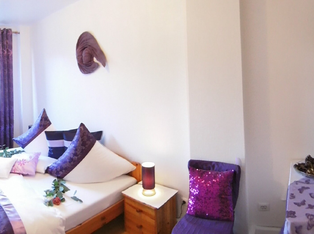 Rhön Stern Hotel主图