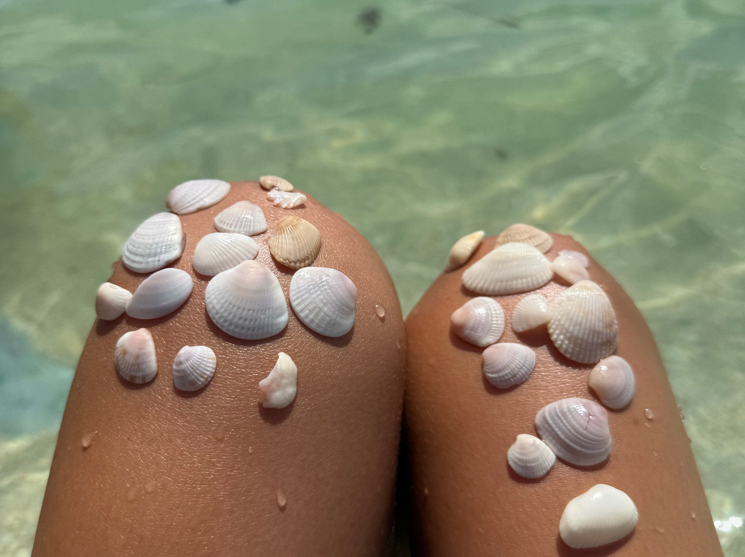 SURFit USA-Lido Key必去景点