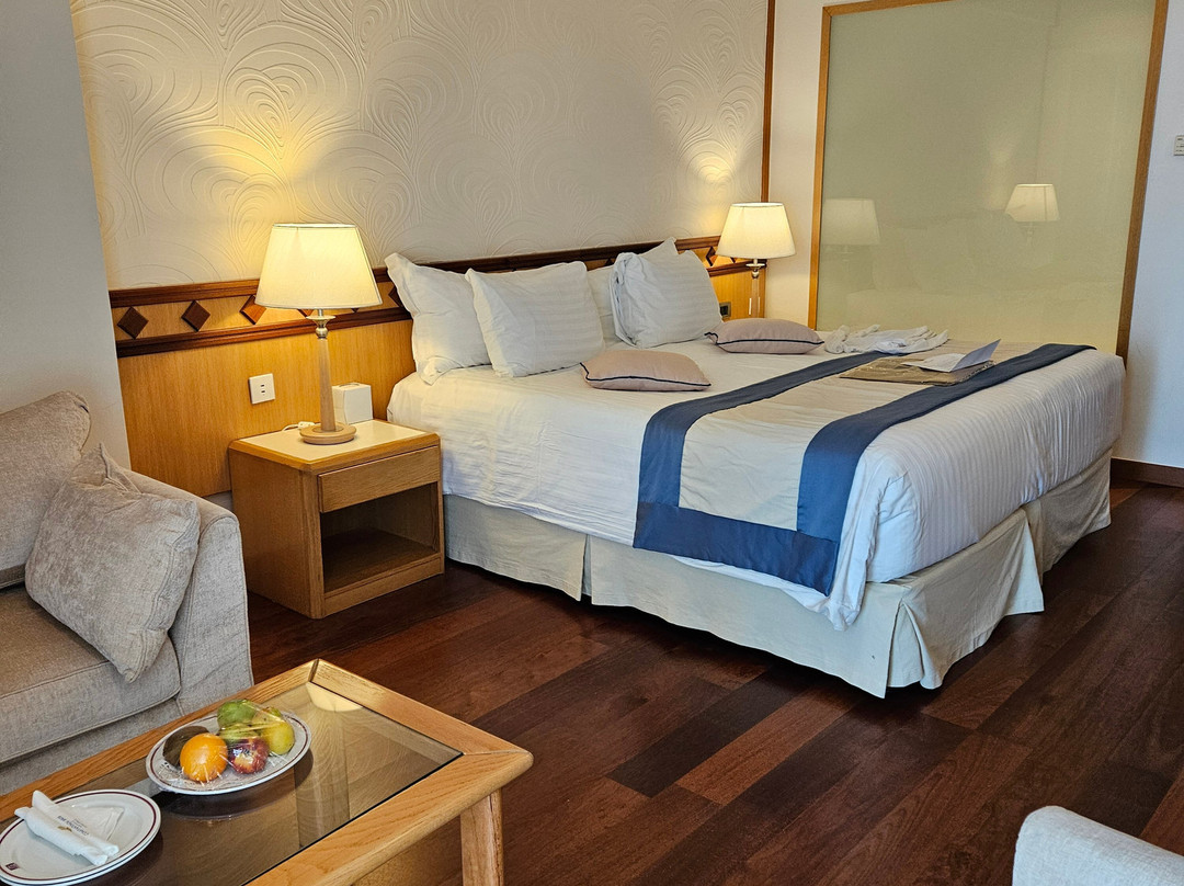 康斯坦丁诺雅典娜海滩酒店主图