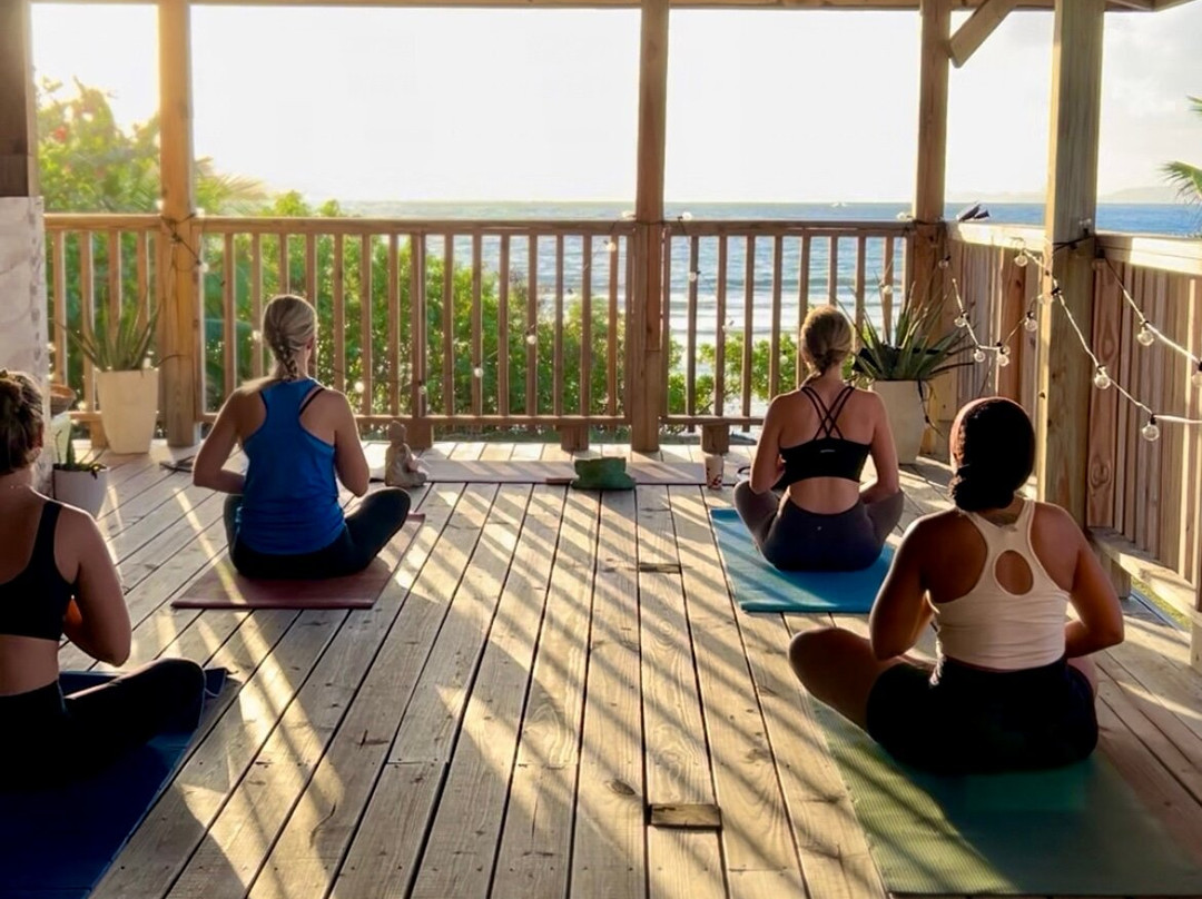 Carol Schoonhoven “Pura Vida Yoga BVI”-Road Town必去景点