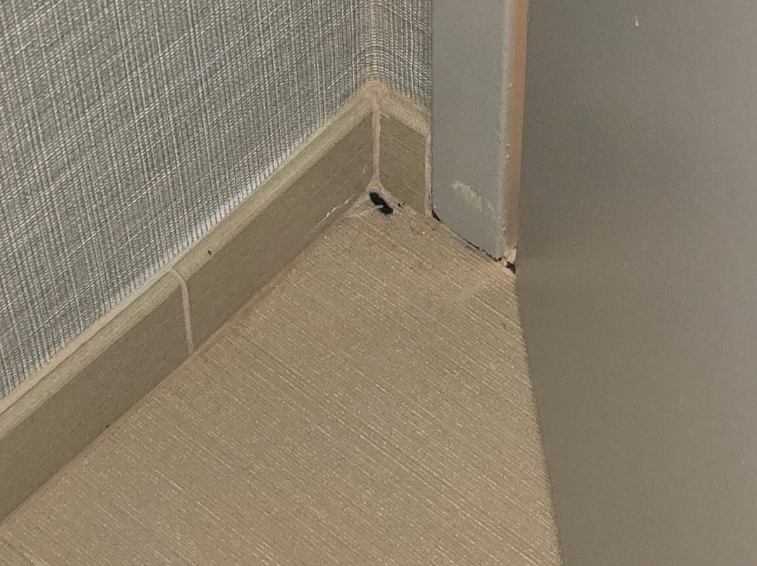 Hyatt Place Topeka主图