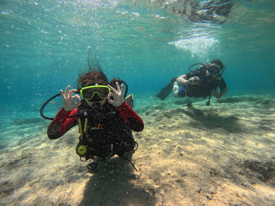 Diving Store-Lagonisi必去景点