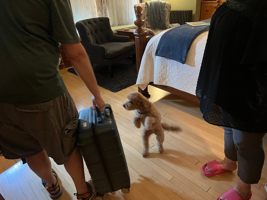 Honeybee Inn Bed & Breakfast主图