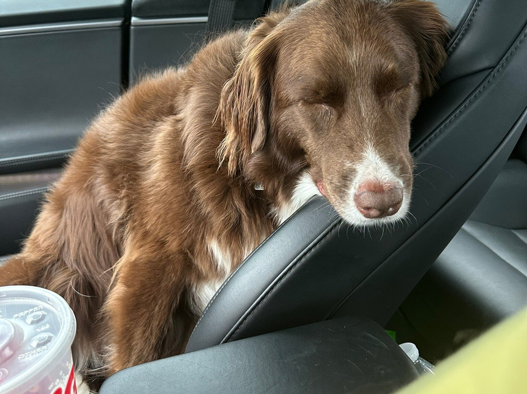 Hagar Park-Coloma必去景点