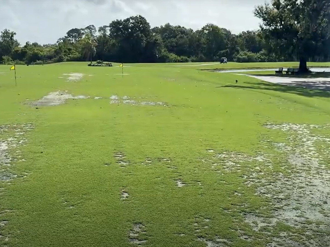 Bloomingdale Golfers Club-Valrico必去景点