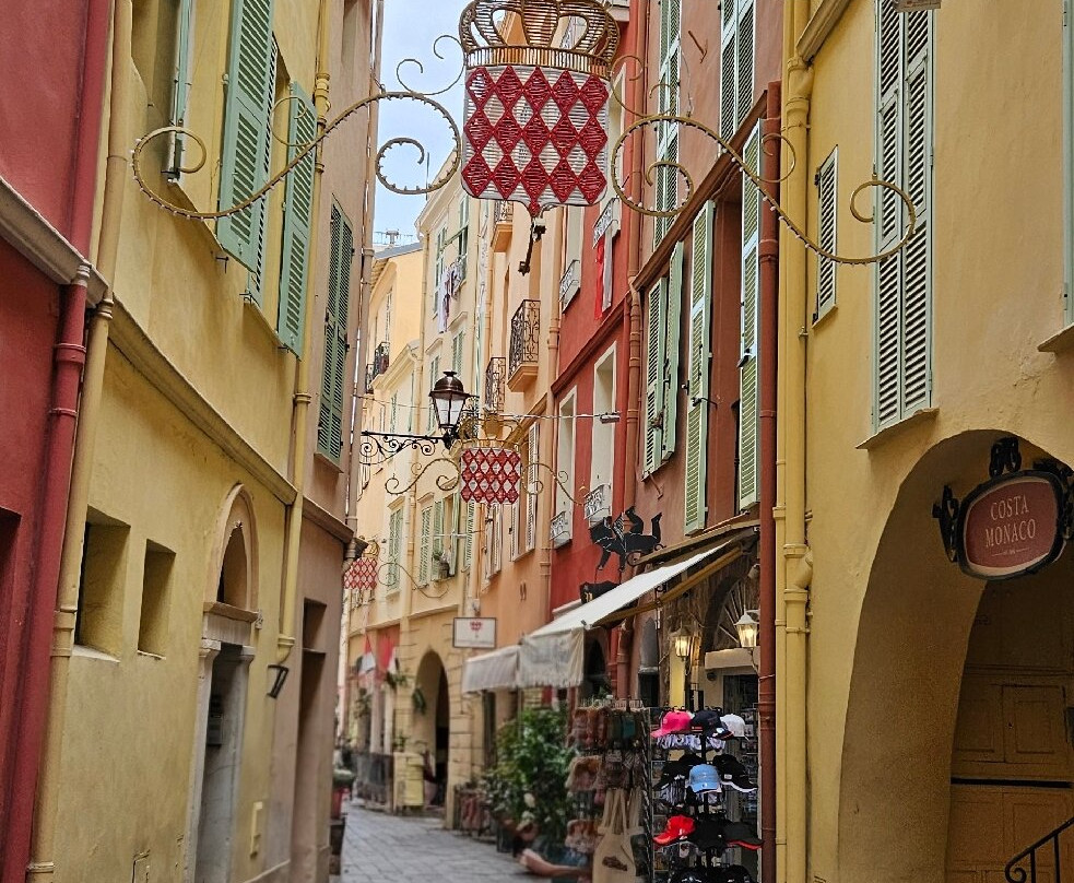 Palais Princier de Monaco-摩纳哥城必去景点