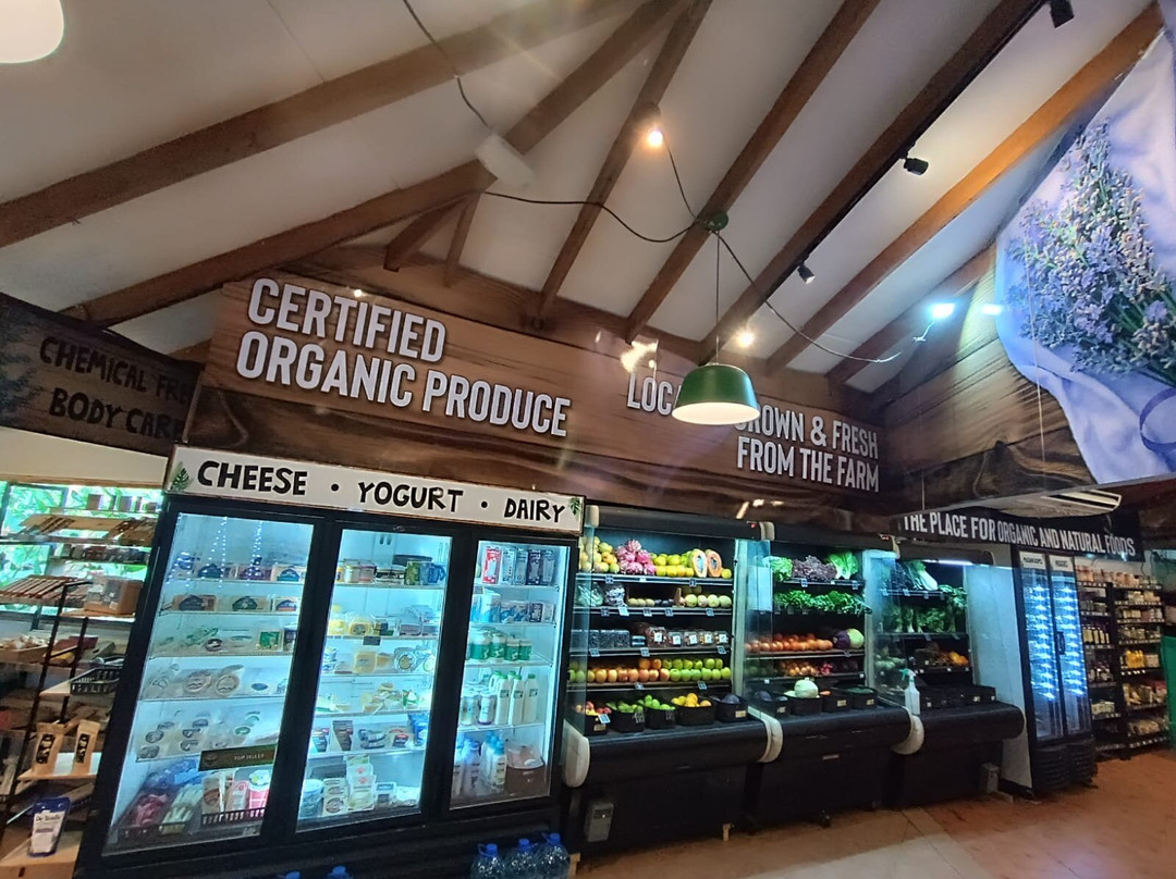 Mama Toucan's Natural and Organic Food Store-主日镇必去景点